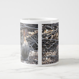 Wüsten-Waldkaninchen - riesige Tasse