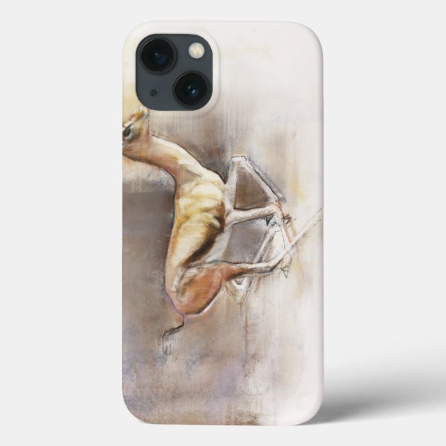 Wüsten-Wind Case-Mate iPhone Hülle (Rückseite)