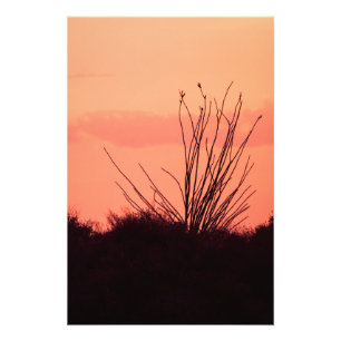 Wüstenabende Fotodruck