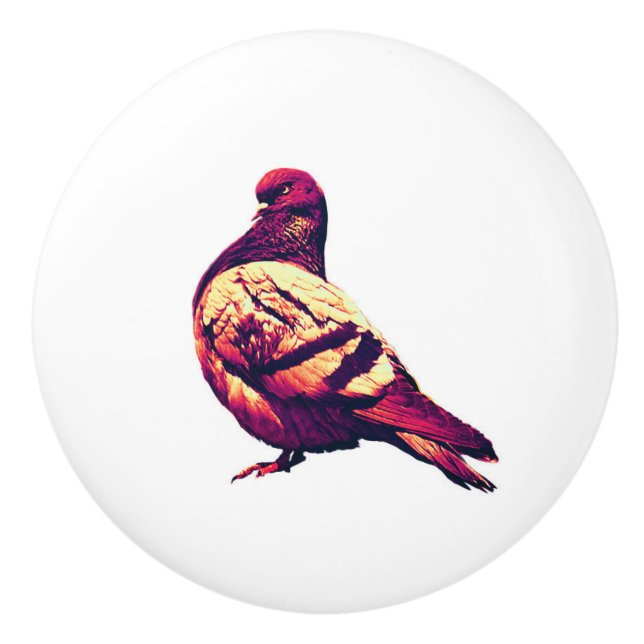 Wüstenaube - humorvolle Vogelpäne Keramikknauf (Vorderseite)