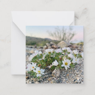 WüstenBlume Mitteilungskarte