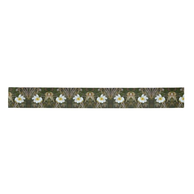WüstenBlume Satinband (Vorderseite)