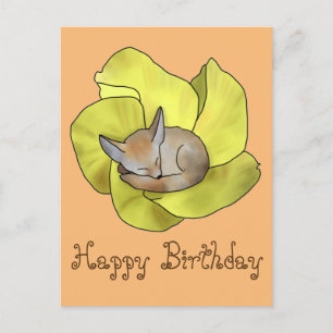 Wüstenblumen Postkarte