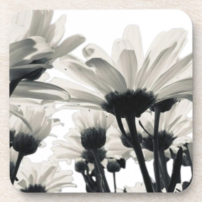 Wüstenblüten Case-Mate iPhone-Hülle Getränkeuntersetzer (Vorderseite)