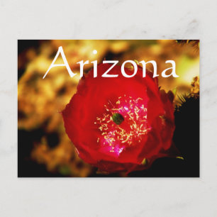 Wüstenblüten Postkarte, Arizona Postkarte