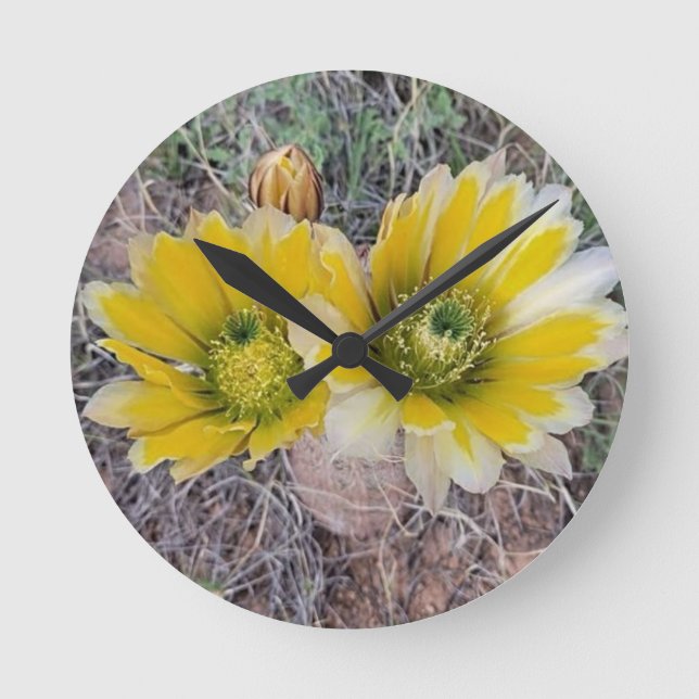 Wüstenblüten Runde Wanduhr (Vorderseite)