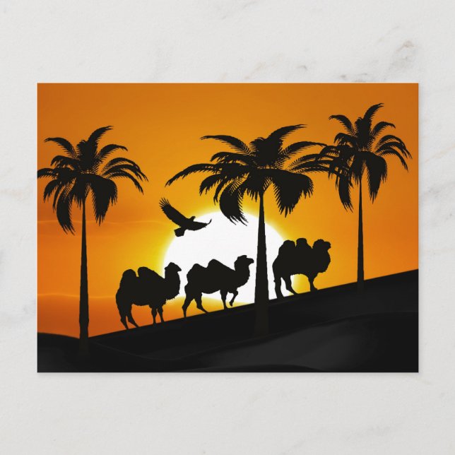 WüstenCamels bei Sonnenuntergang Postkarte (Vorderseite)