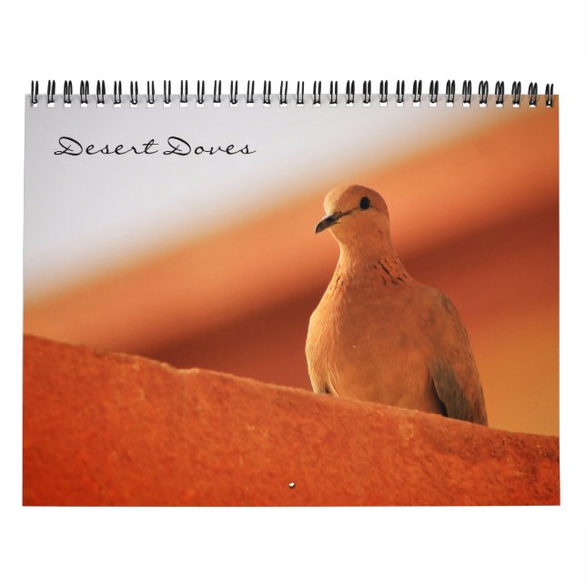 Wüstendoves-Kalender Kalender (Titelbild)