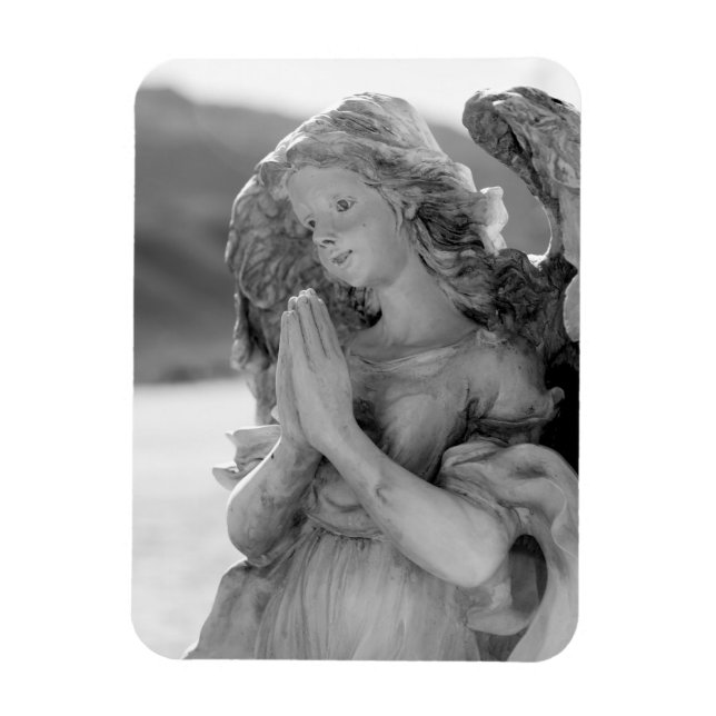 Wüstengel Magnet (Vertikal)