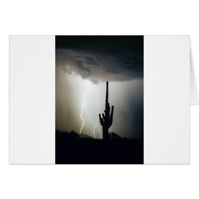 Wüstenhochland-Blitz (Vorderseite (Horizontal))