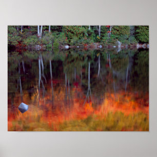 Wüsteninsel   Acadia National Park, Maine Poster