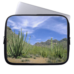 Wüstenkaktus im Organ Pipe National Monument, Laptopschutzhülle