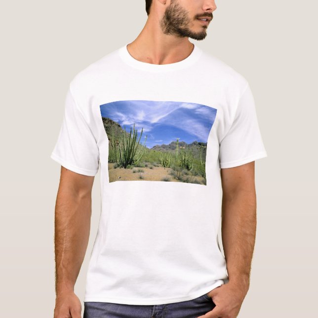 Wüstenkaktus im Orgelpipe National Monument, T-Shirt (Vorderseite)