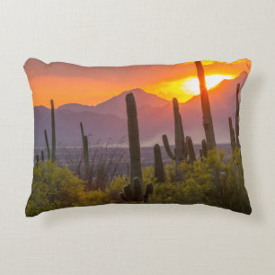 Wüstenkaktus Sonnenuntergang, Arizona Dekokissen