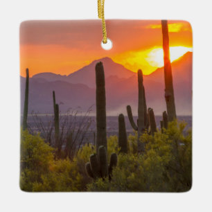 Wüstenkaktus Sonnenuntergang, Arizona Keramikornament