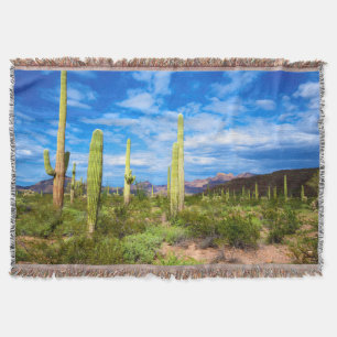 Wüstenkaktuslandschaft, Arizona Decke