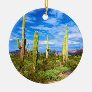 Wüstenkaktuslandschaft, Arizona Keramikornament