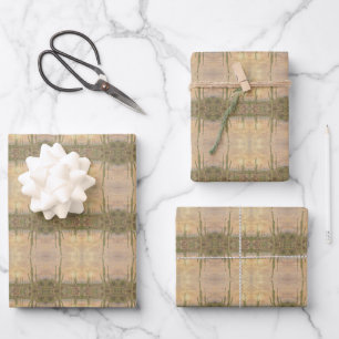 Wüstenkaktuspflanzen auf Holzkorn Foto Bild Geschenkpapier Set