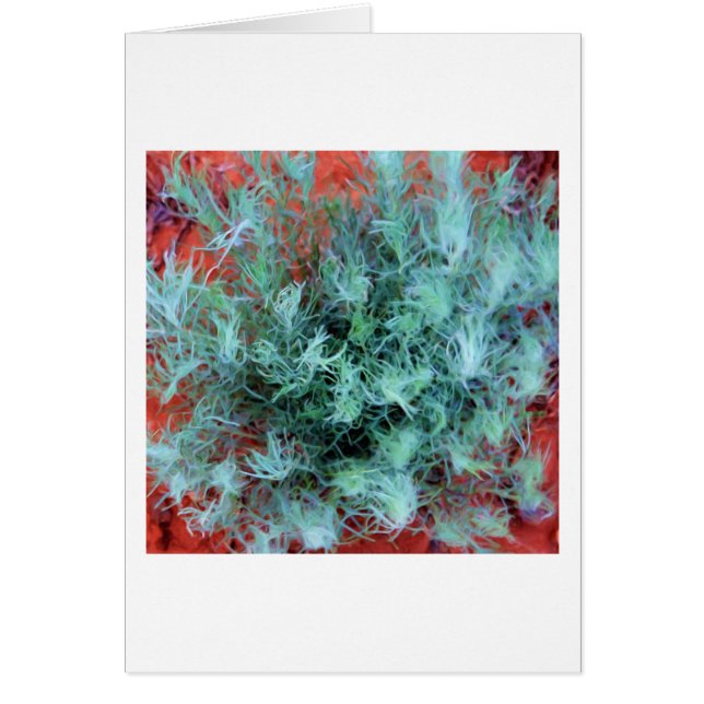 Wüstenlandschaft (Vorne)