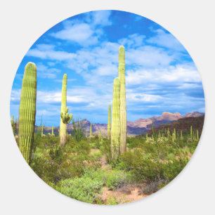 Wüstenlandschaft, Arizona Runder Aufkleber