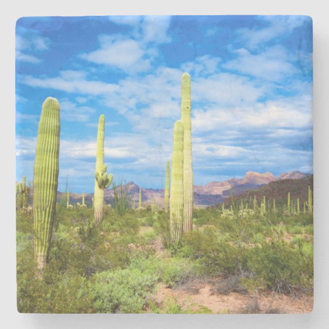 Wüstenlandschaft, Arizona Steinuntersetzer (Vorderseite)