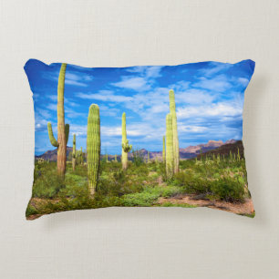 Wüstenlandschaft, Arizona Zierkissen