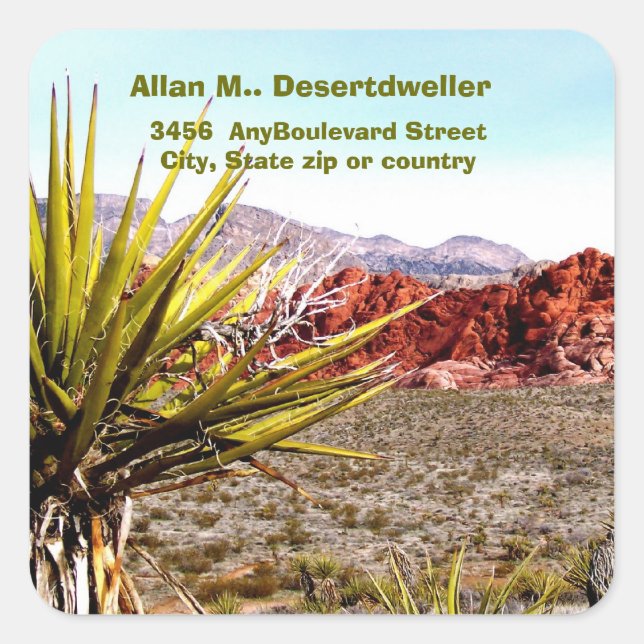 Wüstenlandschaft Cacti Rücksendeadresse Quadratischer Aufkleber (Vorderseite)