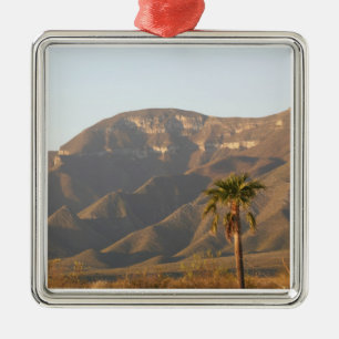 Wüstenlandschaft in der Nähe von Monterey, Mexiko. Ornament Aus Metall