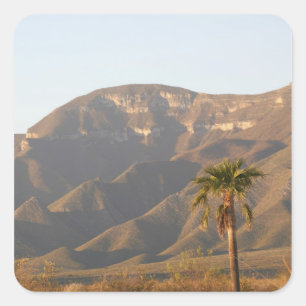 Wüstenlandschaft in der Nähe von Monterey, Mexiko. Quadratischer Aufkleber