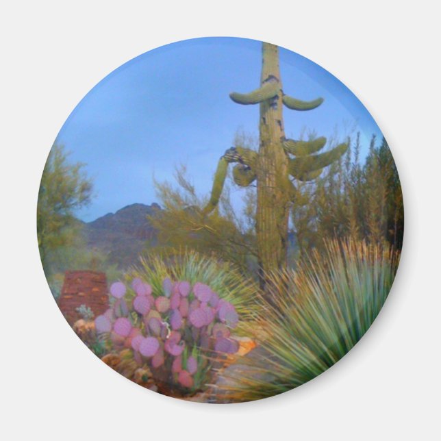 Wüstenlandschaft Magnet (Vorne)