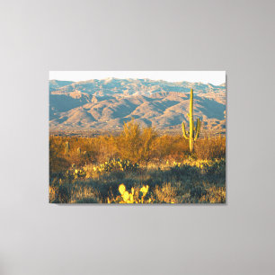 Wüstenlandschaft mit Saguaro-Kaktus Leinwanddruck