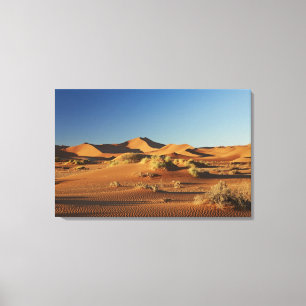 Wüstenlandschaft Namib in Sossusvlei, Leinwanddruck