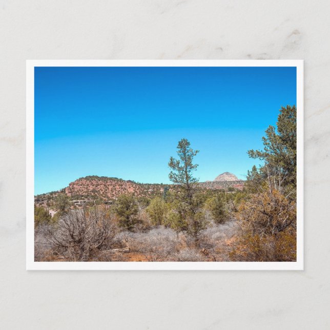 Wüstenlandschaft Postkarte (Vorderseite)