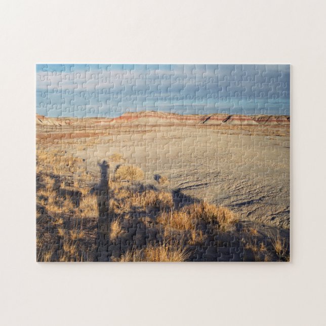 Wüstenlandschaft versteinertes Foto (Horizontal)