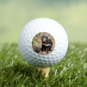 Wüstenlicht – Tasmanischer Teufel Golfball