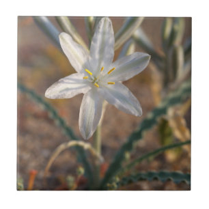 Wüstenlilien-Wildblumen Fliese