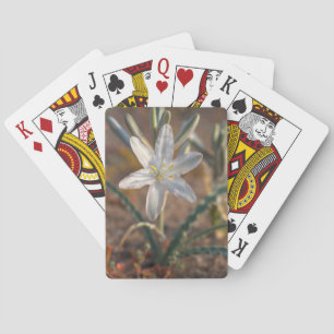 Wüstenlilien-Wildblumen Spielkarten