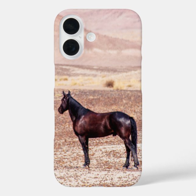 Wüstenpferd P8664 iPhone 16 Hülle (Rückseite)