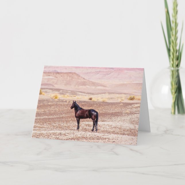 Wüstenpferd P8664 Karte (Vorderseite)