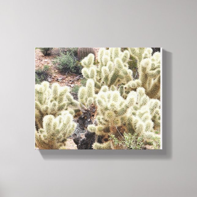Wüstenradiance Cholla Cactus Foto Leinwanddruck (Vorderseite)