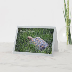 Wüstenschildkröte im Grünen Grasgrün Karte
