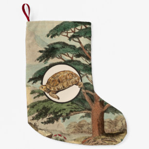Wüstenschildkröte in der natürlicher kleiner weihnachtsstrumpf