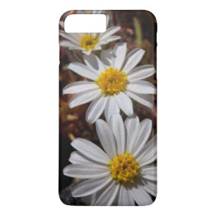 Wüstenstar-Wildblumen Case-Mate iPhone Hülle