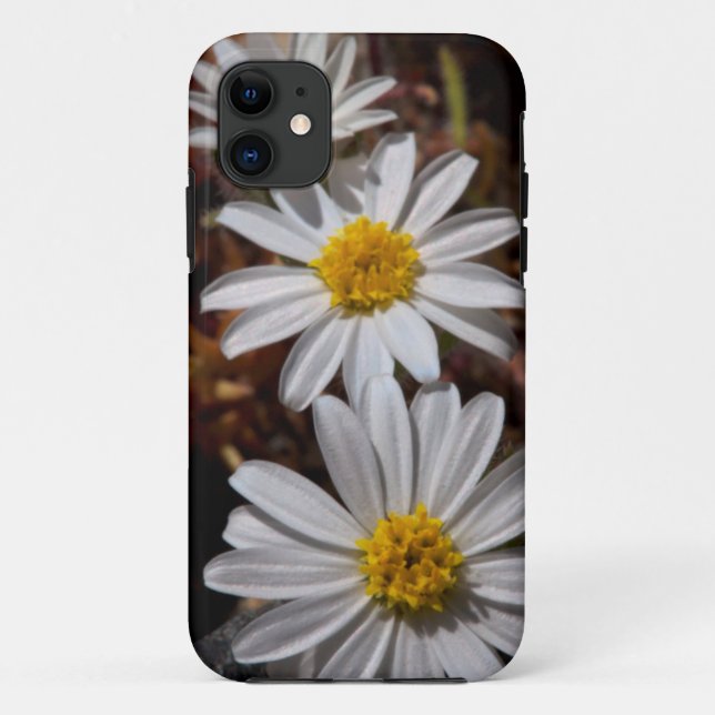 Wüstenstar-Wildblumen Case-Mate iPhone Hülle (Rückseite)