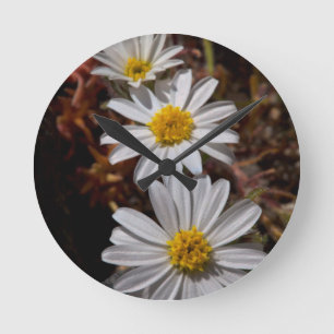 Wüstenstar-Wildblumen Runde Wanduhr