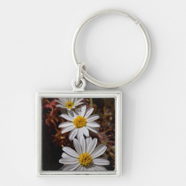 Wüstenstar-Wildblumen Schlüsselanhänger (Vorne)