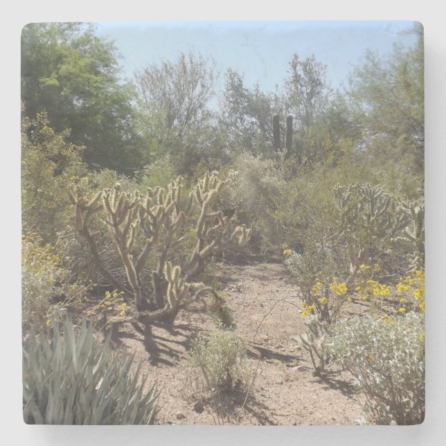 Wüstenstein Untersetzer (Vorderseite)