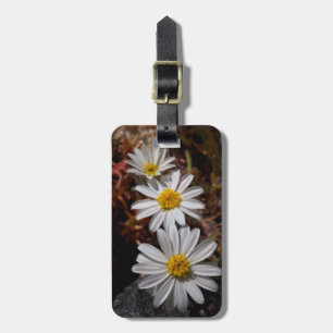 Wüstenstern-Wildblumen Gepäckanhänger