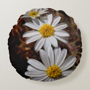 Wüstenstern-Wildblumen Rundes Kissen
