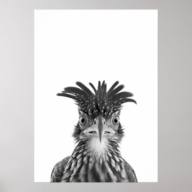 Wüstenstraßenläufer-Vogelporträt Poster (Vorne)